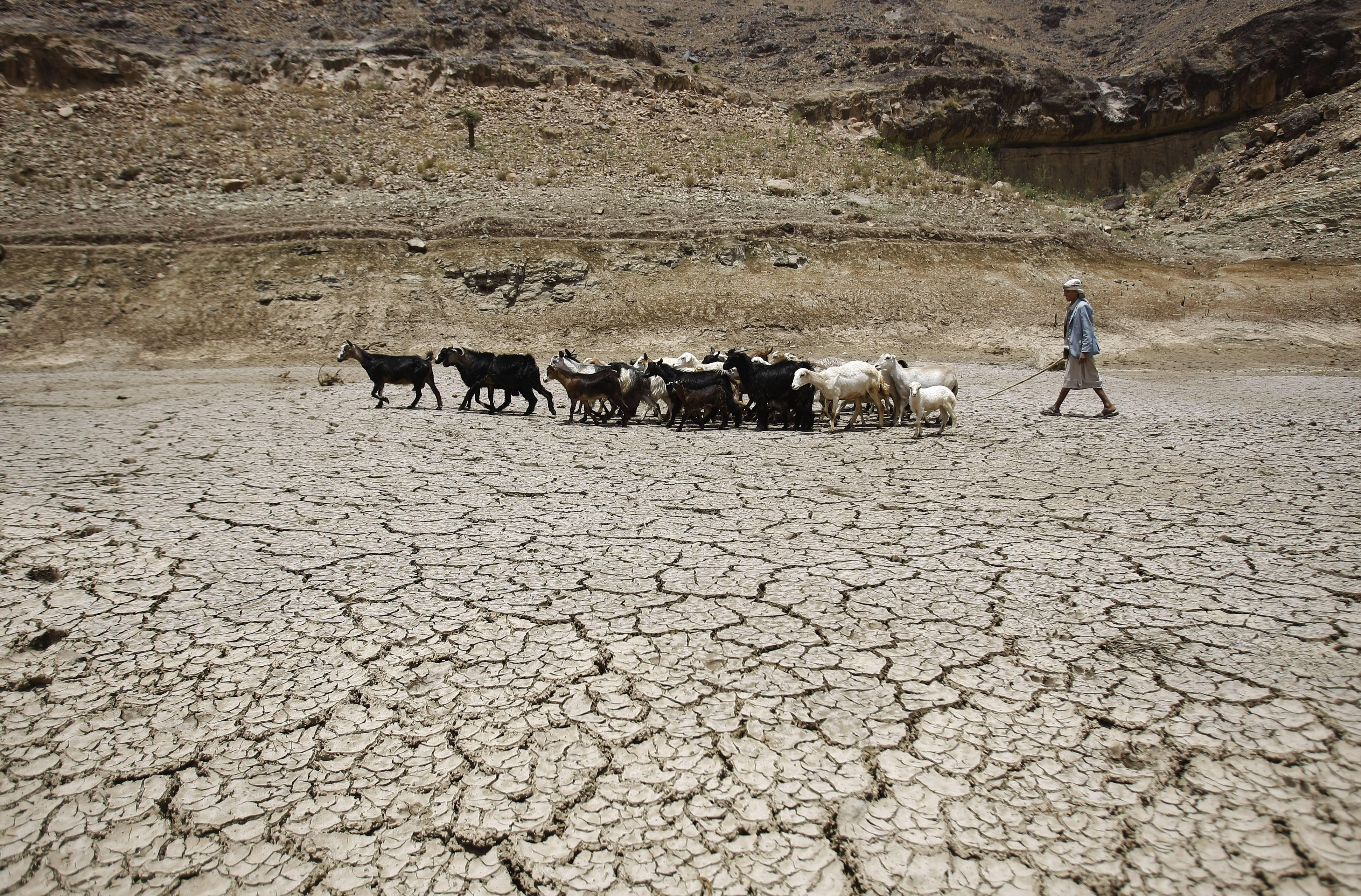Глобальные проблемы азии. Засуха 2022 Таджикистан. Опустынивание перевыпас скота. Опустынивание Марокко. Опустынивание в Дагестане.
