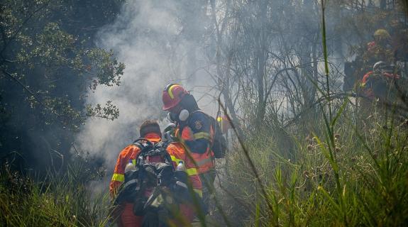 Συνολικά 41 δασικές πυρκαγιές το τελευταίο 24ωρο στην Ελλάδα