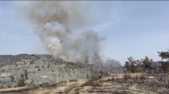 ΦΩΤΟ: Ανεξέλεγκτη η πυρκαγιά στη Λεμεσό, ενισχύονται οι δυνάμεις πυρόσβεσης
