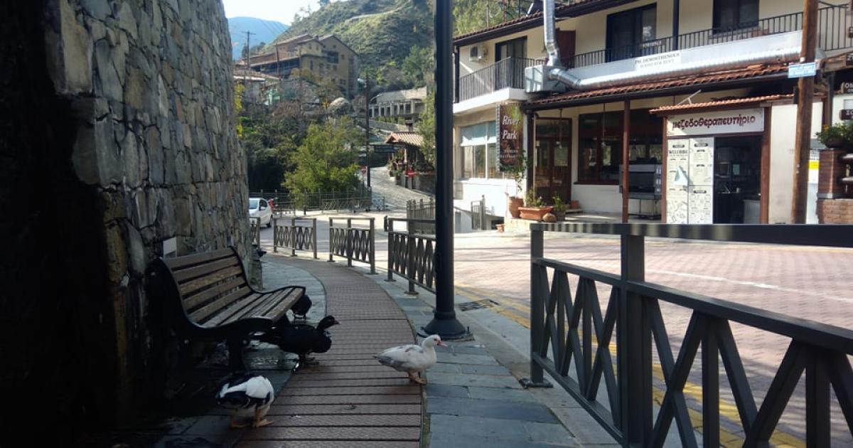 Μόνο πάπιες … κυκλοφορούν ακόμα στους δρόμους της Κακοπετριάς (ΒΙΝΤΕΟ & ΦΩΤΟΓΡΑΦΙΕΣ)