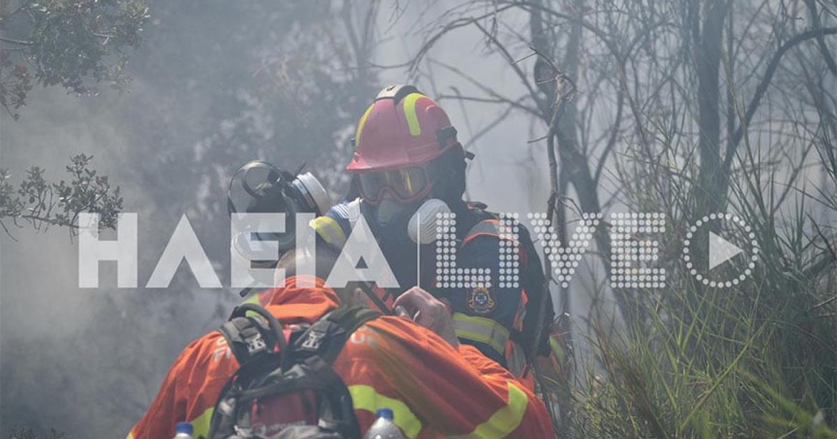 Incendi infuriano a Ilia, arrestato sospettato di incendio doloso (FOTO)