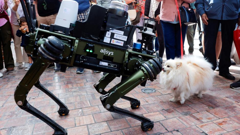 ρομπότ σκύλος