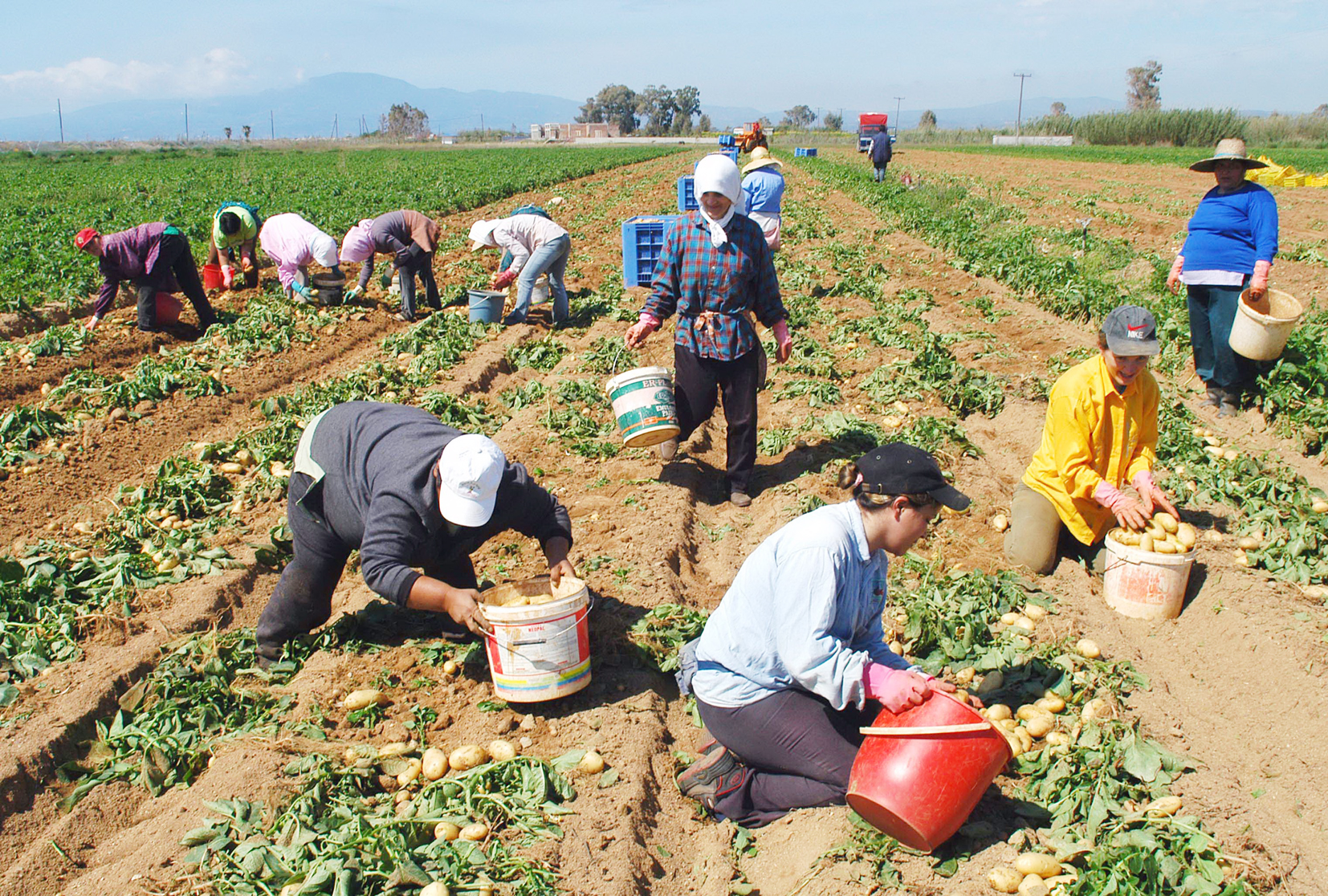 ΚΟΑΠ: Πιο έγκαιρες από κάθε άλλη φορά οι πληρωμές στους αγρότες (ΒΙΝΤΕΟ)