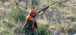 Έρχονται βαριές καμπάνες για κυνηγούς και λαθροθήρες… (ΒΙΝΤΕΟ)