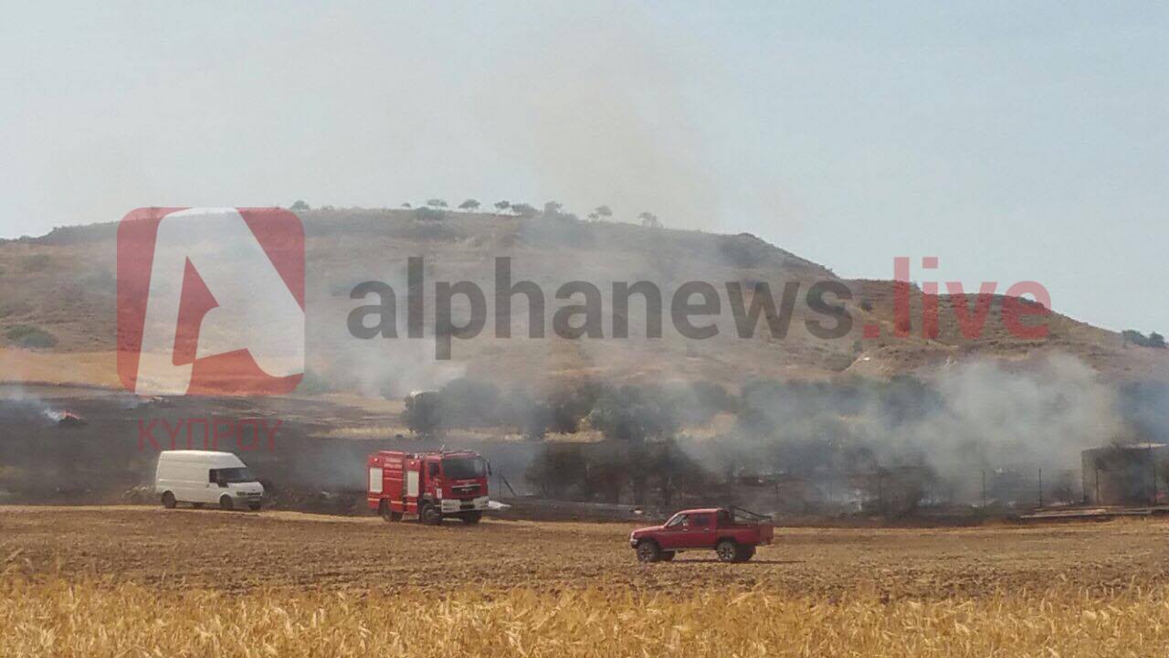 Πυρκαγιά στην περιοχή Λατσιών (ΦΩΤΟ)