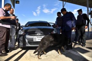 Πυροβολισμοί στο Κάιρο με νεκρούς και τραυματίες