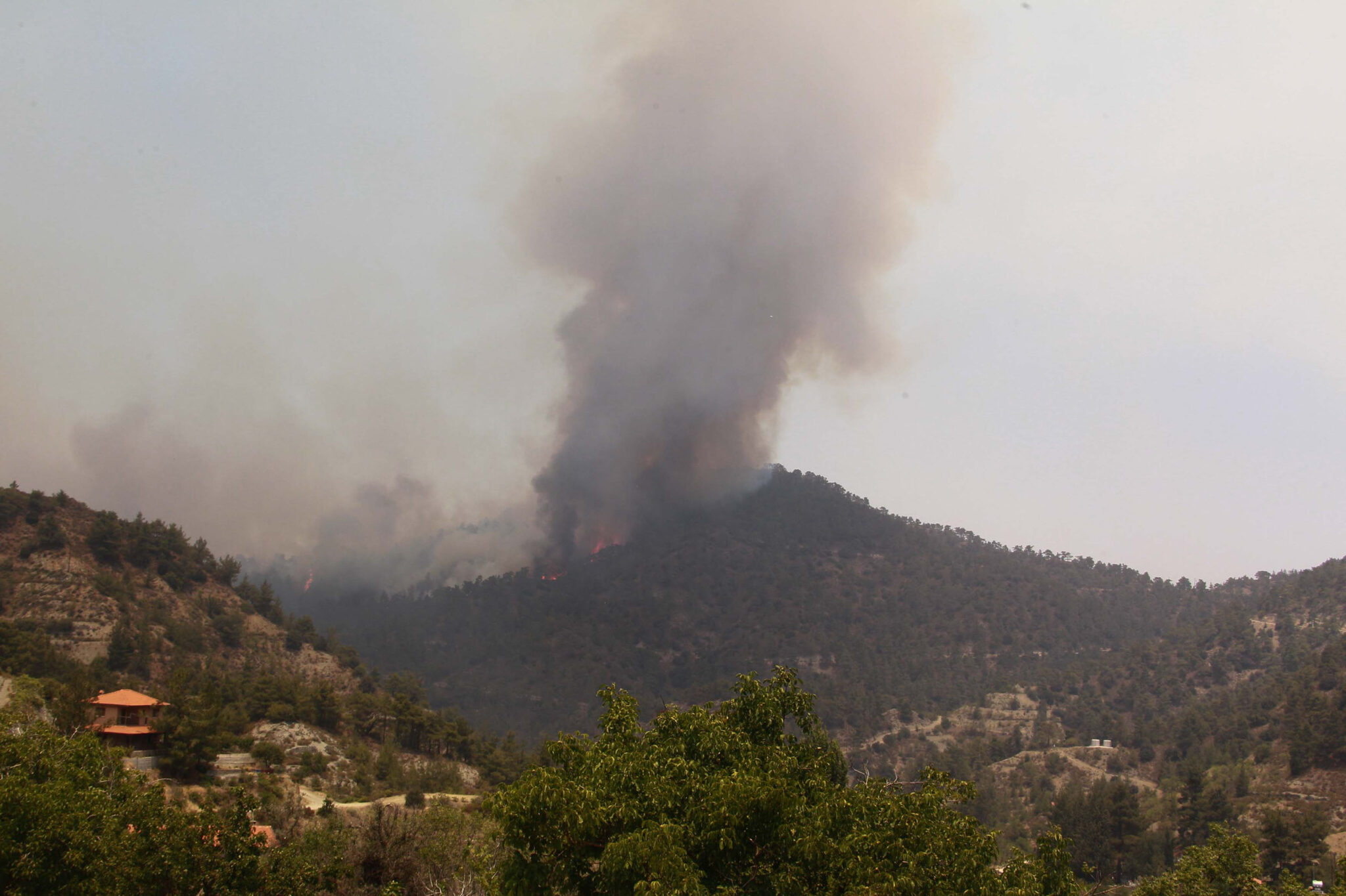 Ένα χρόνο μετά την πύρινη λαίλαπα που τραυμάτισε την περιοχή της Σολέας (ΒΙΝΤΕΟ)