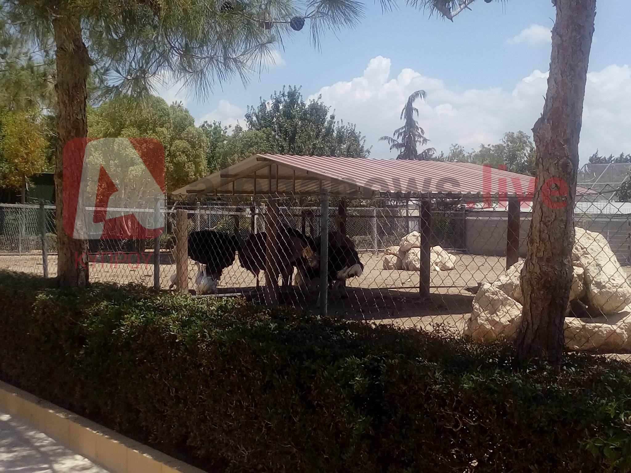 Κουγιάλης: Τα ζώα του Melios Zoo θα καταλήξουν στο εξωτερικό