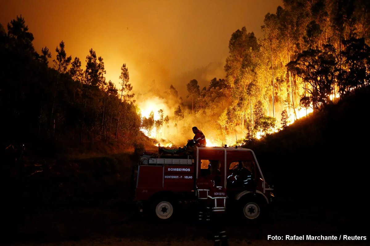 Εθνική τραγωδία στην Πορτογαλία: 62 νεκροί και δεκάδες τραυματίες απο πυρκαγιά