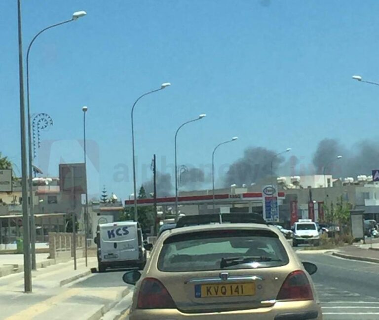 Υπό μερικό έλεγχο η φωτιά στο Πρωταρά (ΦΩΤΟ)