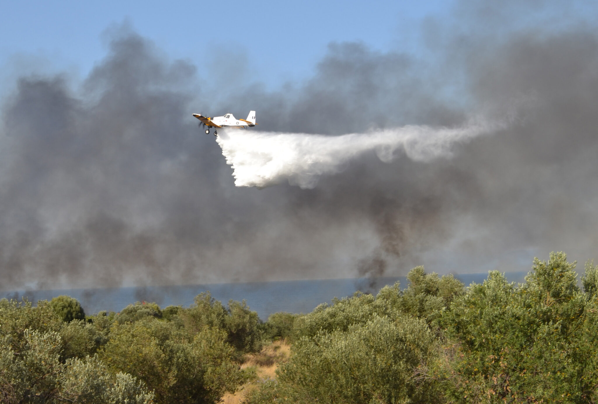 Σε «πύρινο κλοιό» η ανατολική Μάνη (ΒΙΝΤΕΟ)