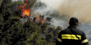 Ζάκυνθος: Πυρκαγιά σε δασική έκταση στο χωριό Μαχαιράδο