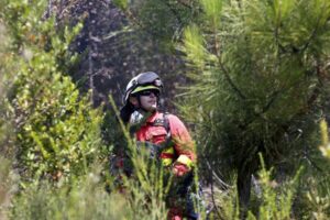 Αποτσίγαρο φαίνεται να προκάλεσε πυρκαγιά στο δρόμο Κελιών – Τρούλλων