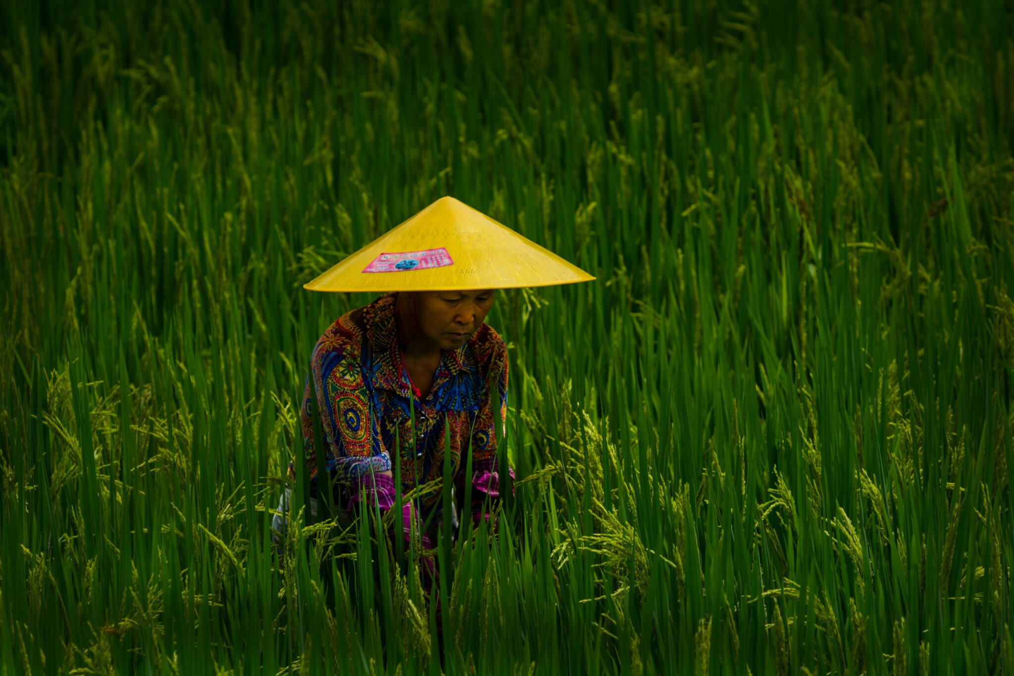Φωτογραφίες από όλο τον κόσμο που ξεχωρίσαμε