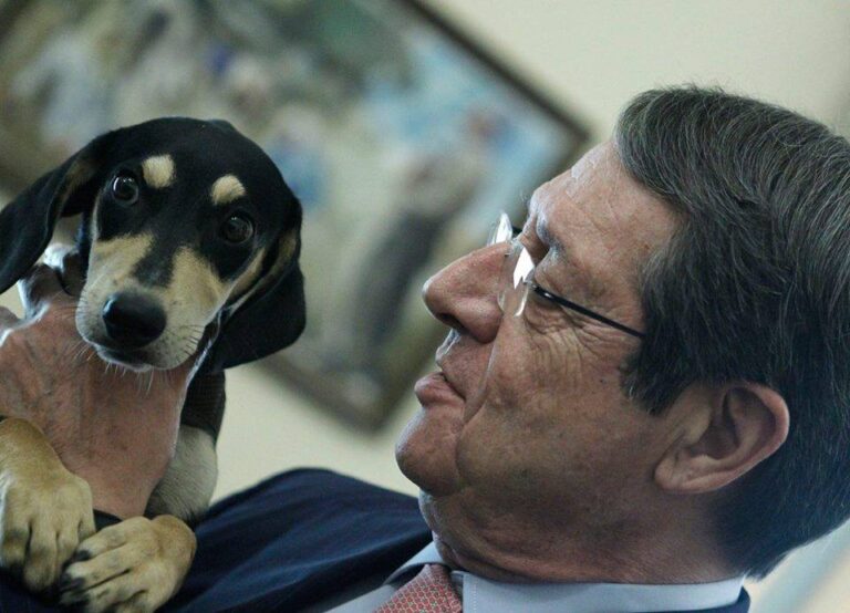 Ο Πρόεδρος Αναστασιάδης υιοθέτησε νέο κουτάβι (ΒΙΝΤΕΟ)