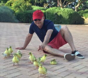 Ο Αβέρωφ απαντά για το Tweet με την αλεπού που πιάνει τα παπάκια (ΒΙΝΤΕΟ)