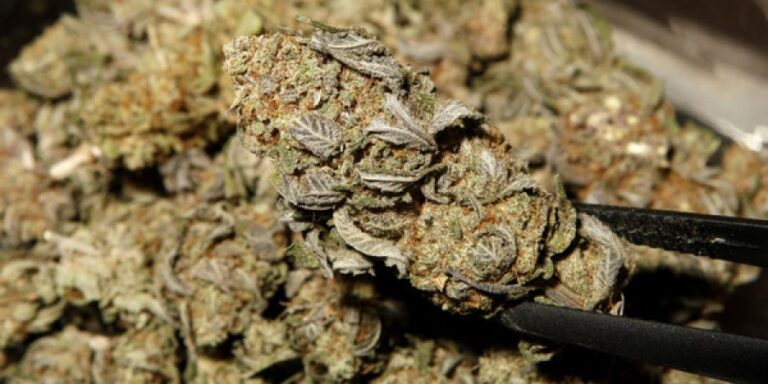 Εντοπίστηκαν ναρκωτικά σε Δημοτικό Σχολείο στη Λάρνακα