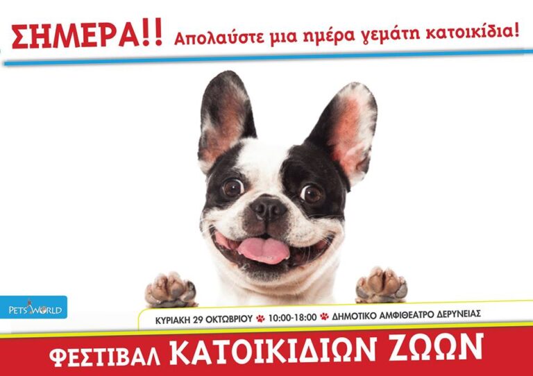 Αν δεν έχεις κάτι να κάνεις σήμερα, πάρε το κατοικίδιό σου και πήγαινε Δερύνεια