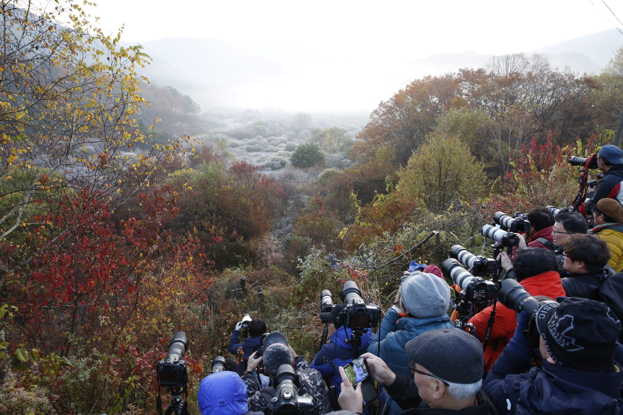 To πολύχρωμο φθινοπωρινό δάσος της Νοτίου Κορέας (ΦΩΤΟ)