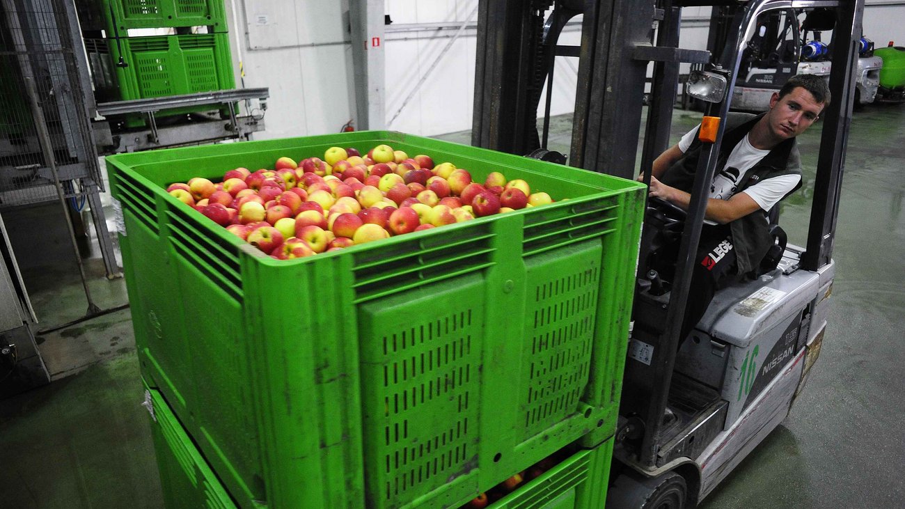 Καταβλήθηκαν αποζημιώσεις σε παραγωγούς, που πλήγηκαν απο το εμπάργκο στη Ρωσία