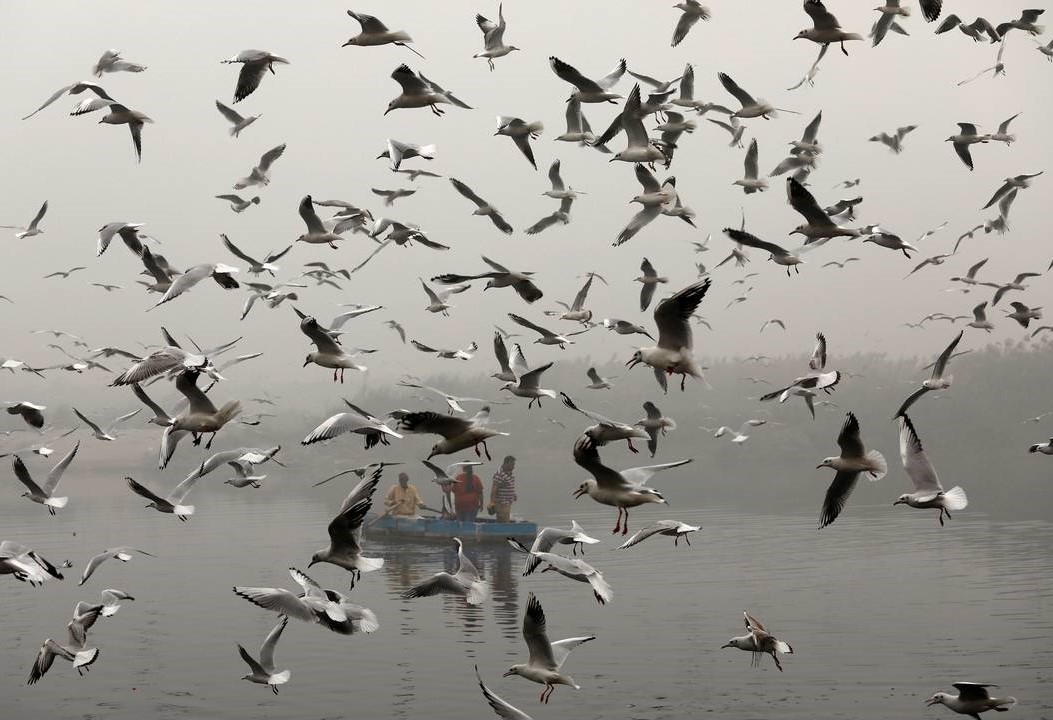 Το τοξικό νέφος "έπνιξε" το Νέο Δελχί (ΦΩΤΟ)