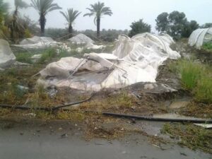 Αποζημιώνει τους γεωργούς το Υπουργικό για τις ζημιές του 2017 (ΒΙΝΤΕΟ)