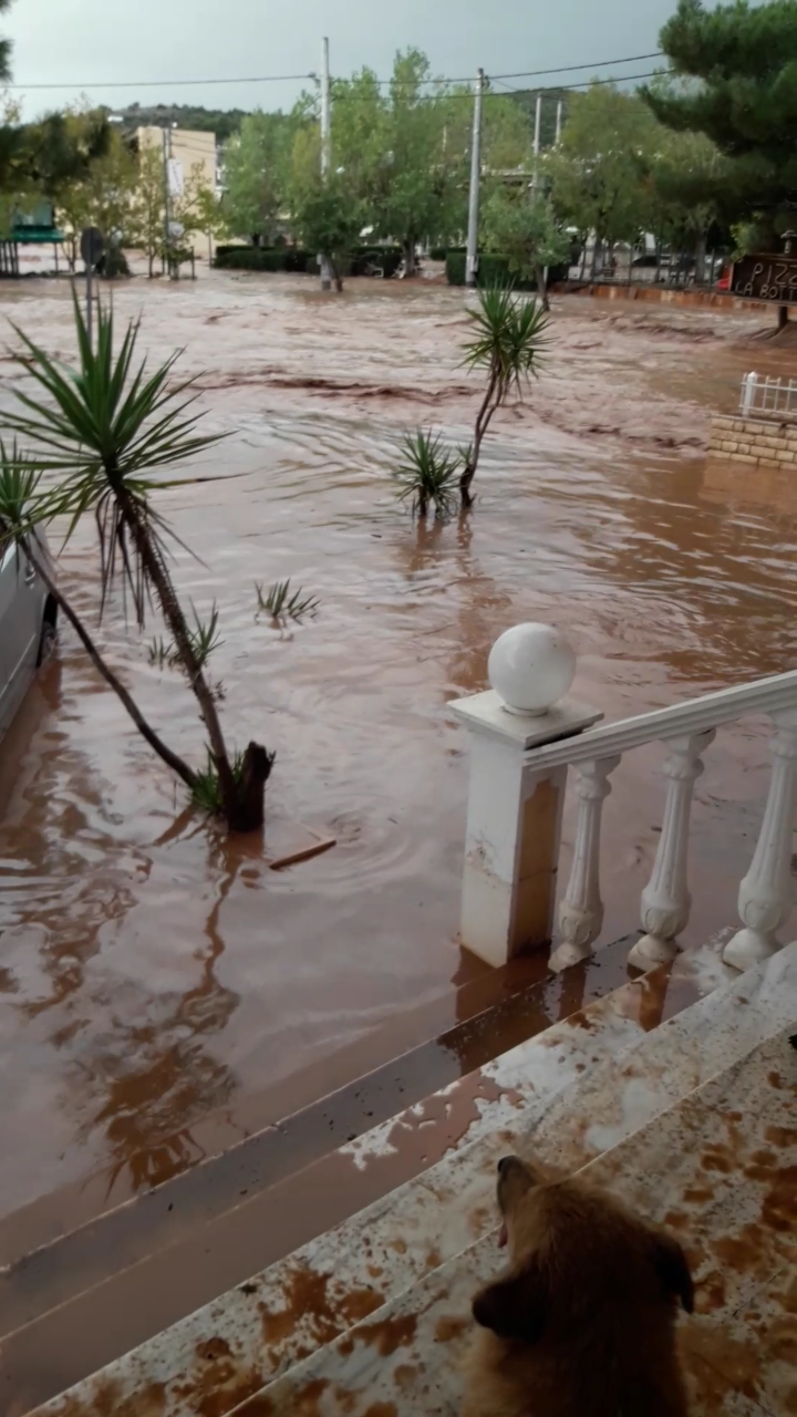 Αποκλειστικές εικόνες από τη βιβλική καταστροφή στη Δυτική Αττική (ΒΙΝΤΕΟ)