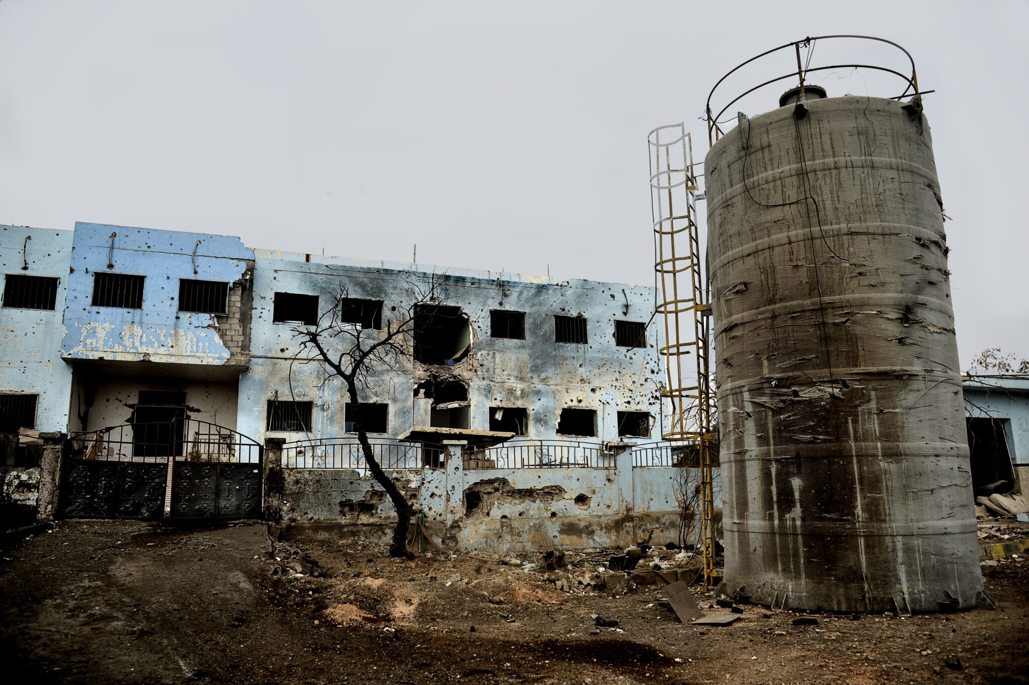 Φωτογραφίες που ξεχωρίσαμε από όλο τον κόσμο