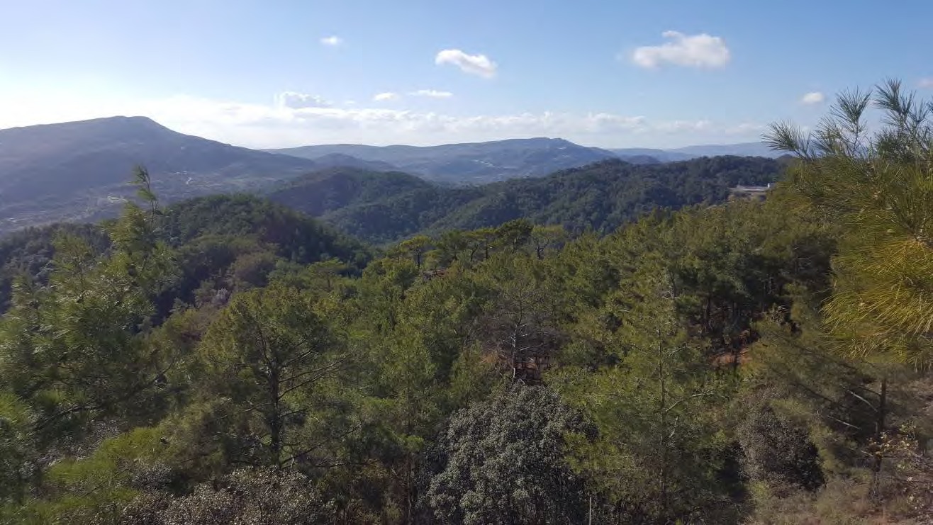 Διχασμένοι για το Πέρα Πέδι οι εμπλεκόμενοι για την ανάπτυξη (ΒΙΝΤΕΟ)