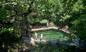 Ρόδος: Νέο είδος εντόμου ανακαλύφθηκε στην Κοιλάδα των Πεταλούδων