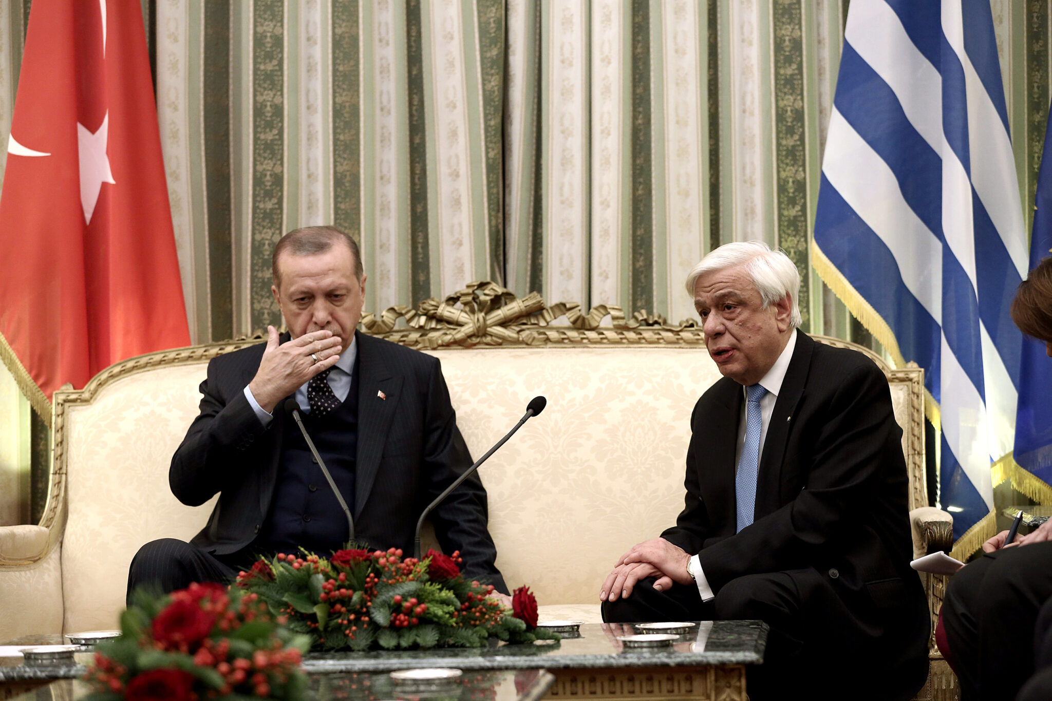 Ο Ερντογάν έφυγε, ο προβληματισμός μένει…(BINTEO)