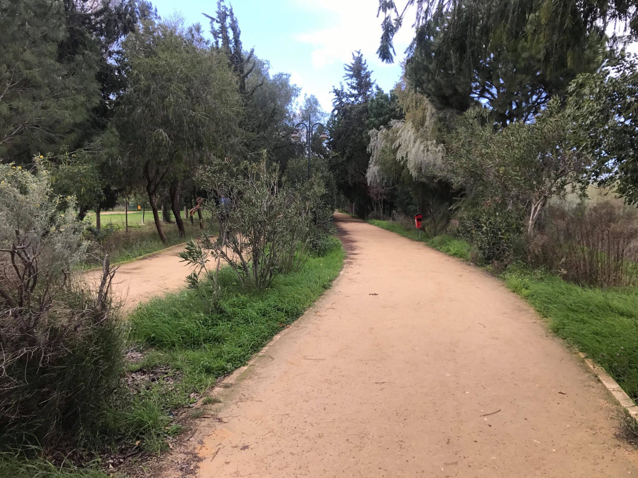 "Δράκος" Γραμμικού Πάρκου:Σειρά συλλήψεων χωρίς να εντοπισθεί ο δράστης (BINTEO)