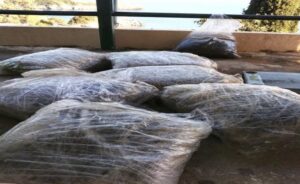 Χασίς βάρους 39 κιλών εντοπίστηκαν στο αυτοκίνητο 56χρονου