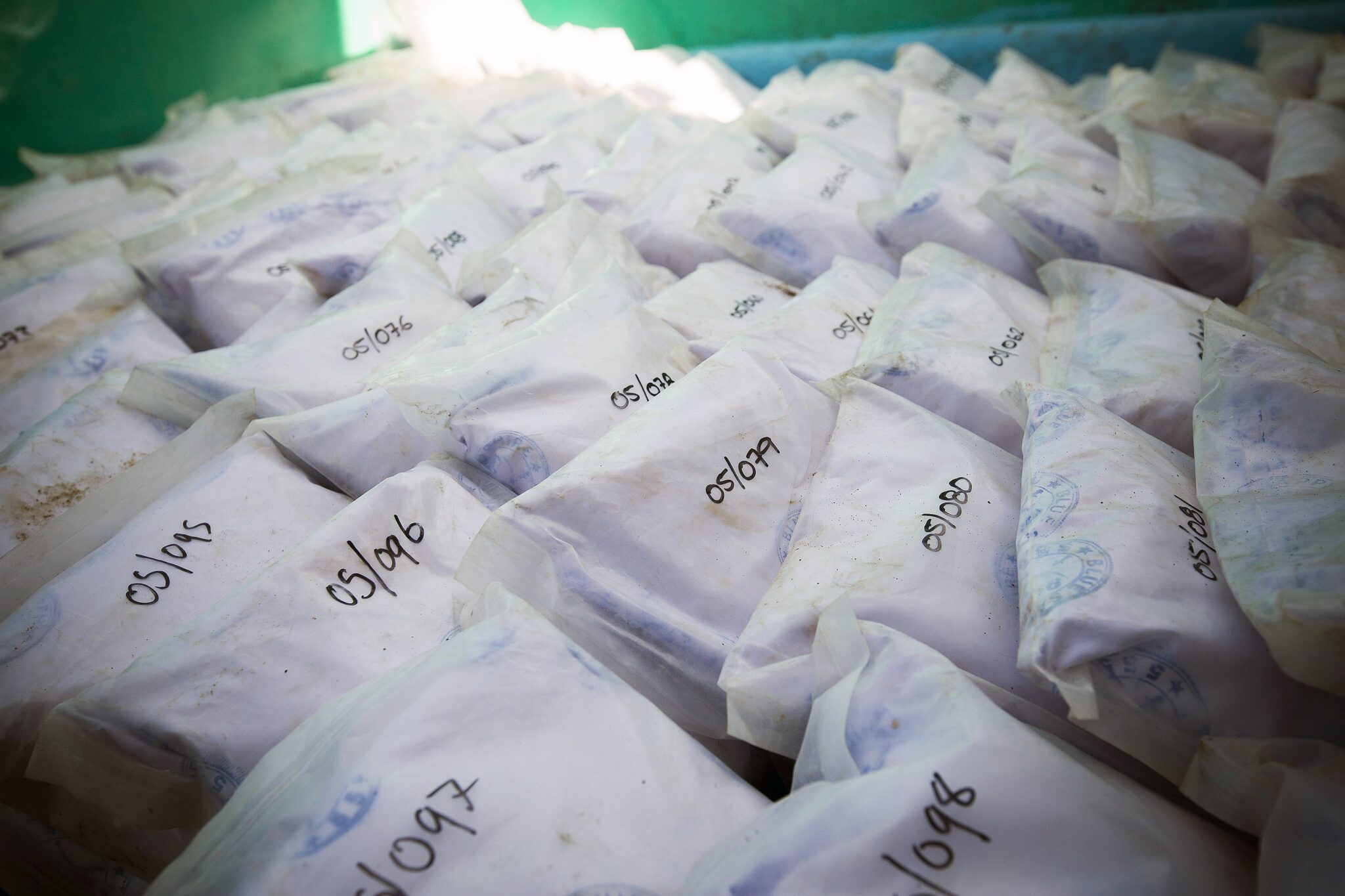 Φωτογραφίες που ξεχωρίσαμε από όλο τον κόσμο