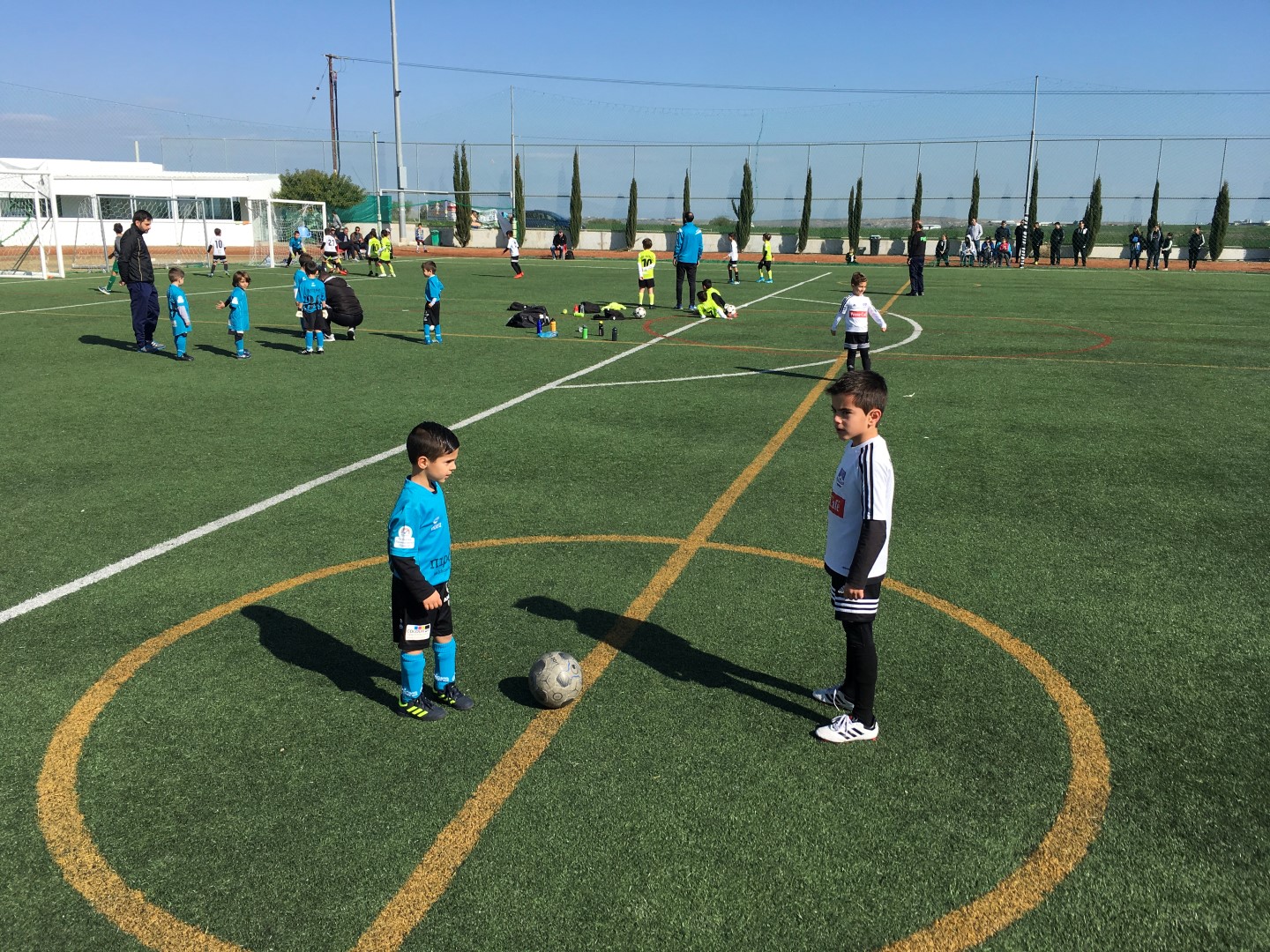 Π.Ο.Α.Π: Επιστροφή στη δράση