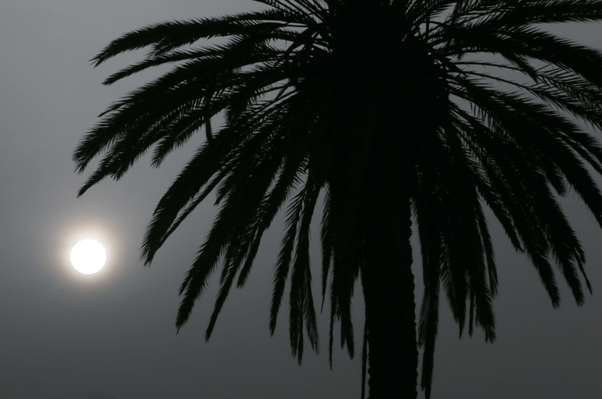 Tι να προσέχουν οι ευάλωτες ομάδες από τη σκόνη