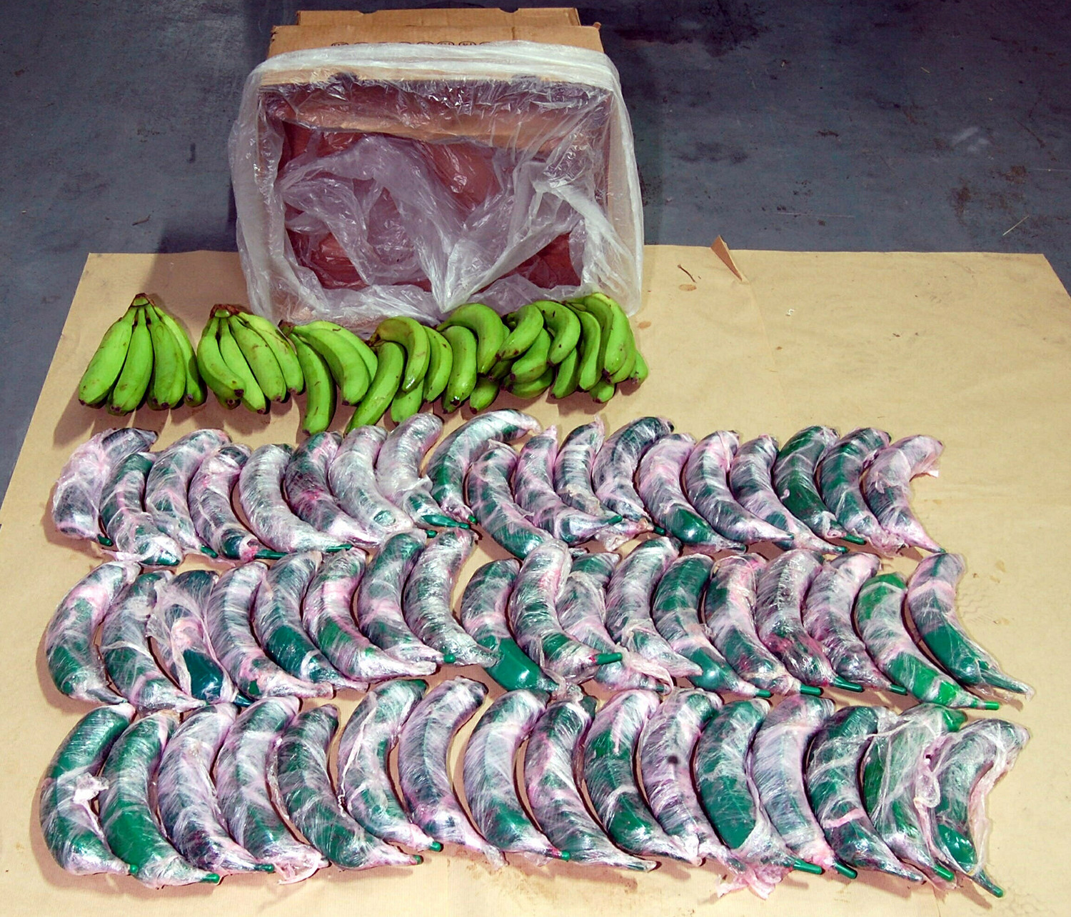 Πάνω από 1,5 τόνους κοκαΐνης κατάσχεσαν οι αρχές της Κολομβίας μέσα σε μπανάνες