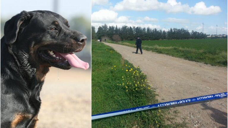 Με δύο σφαίρες θανάτωσαν τον σκύλο Ροτβάιλερ που εντοπίστηκε στην Πάφο