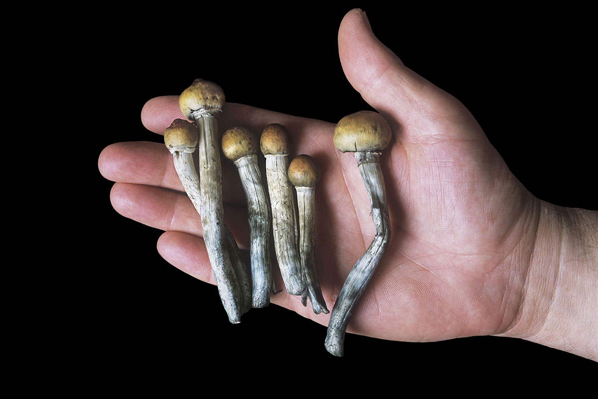 Λευκωσία: Συνελήφθη 25χρονος με… 12 magic mushrooms