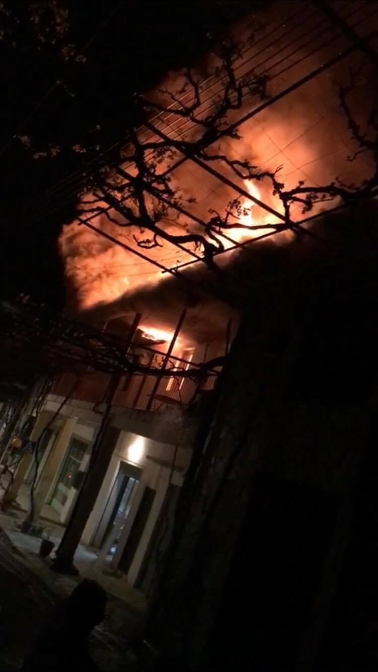 Πυρκαγιά στην Άλωνα: Ολονύχτια μάχη με τις φλόγες (ΒΙΝΤΕΟ)