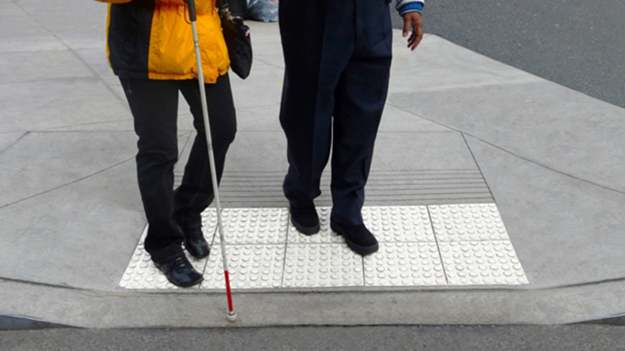 Μόλις πέντε από τα 2.000 άτομα με οπτική αναπηρία έχουν σκύλο βοηθό