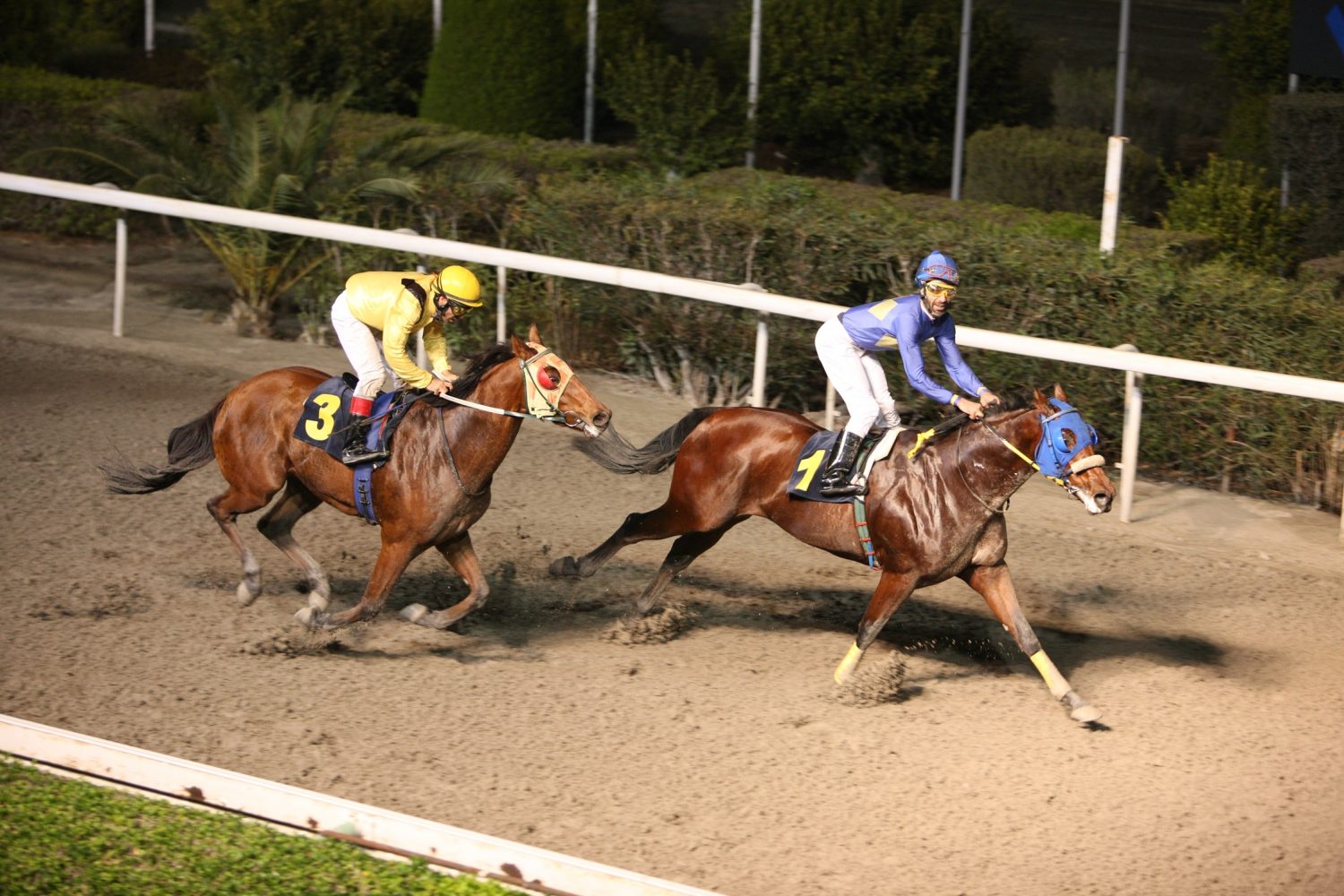 Ιπποδρομιακά στοιχήματα: Αυξάνεται η φορολογία από 1% σε 1,5%