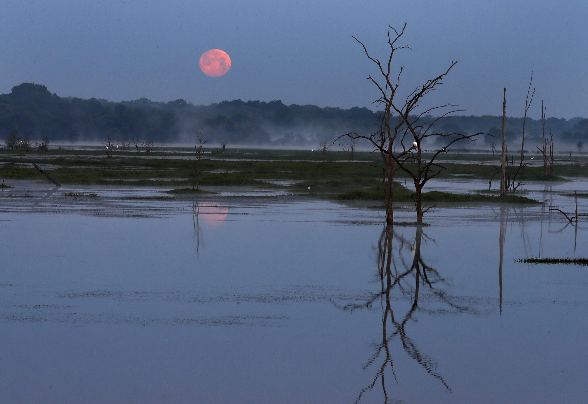 Φωτογραφίες που ξεχωρίσαμε από όλο τον κόσμο