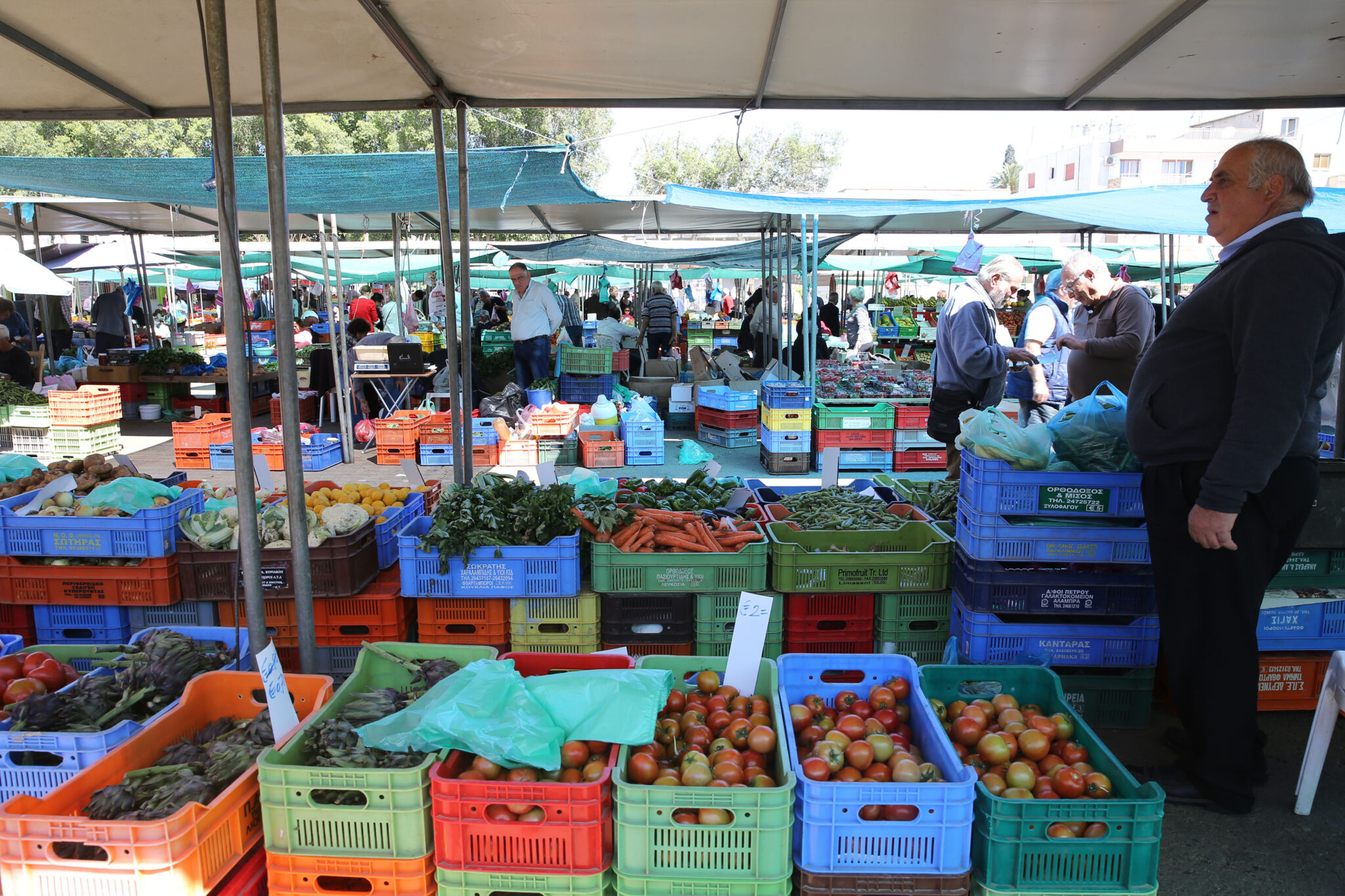 Το κόστος του πασχαλινού τραπεζιού (ΒΙΝΤΕΟ)