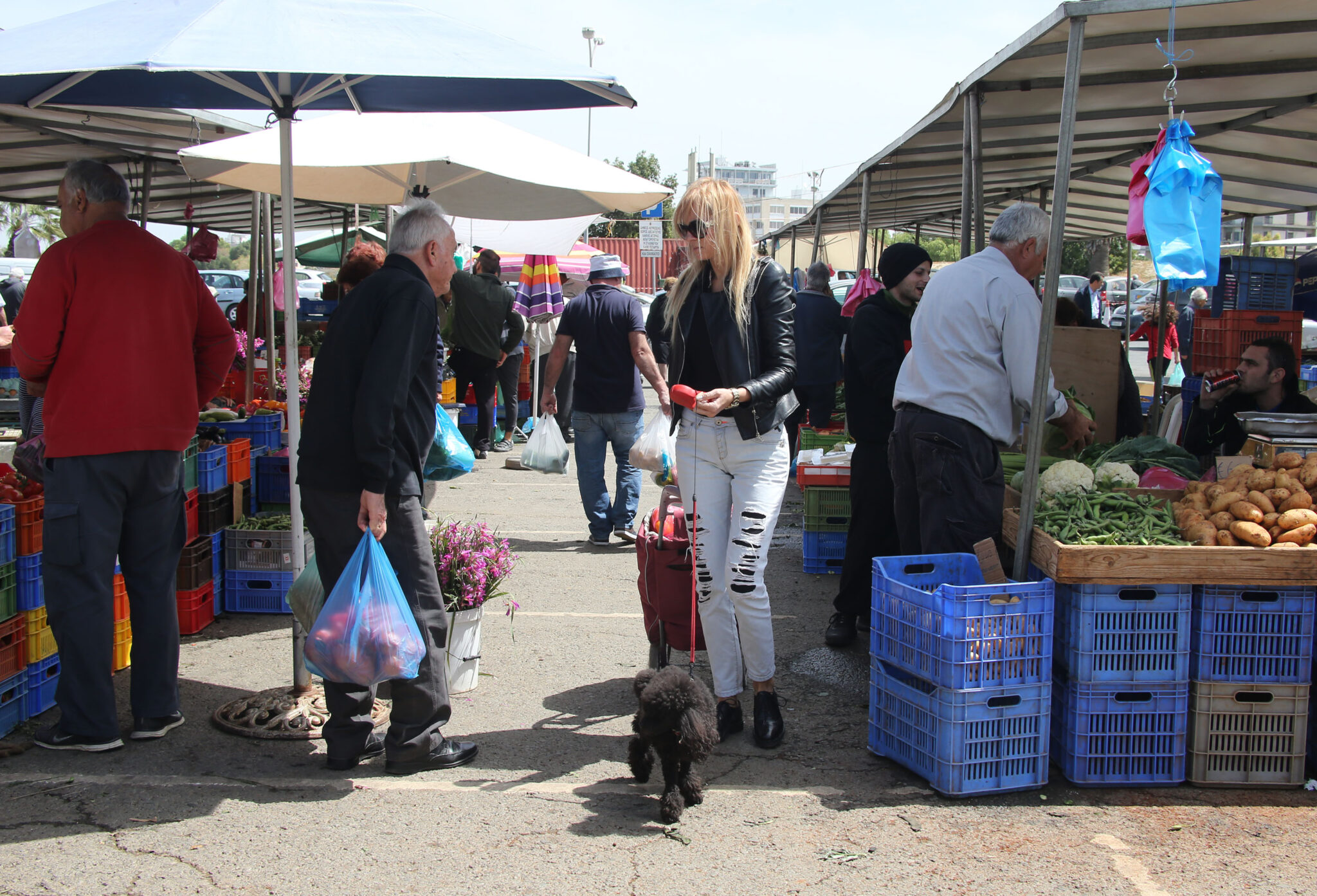 Σε μποϋκοτάζ σε φρούτα και λαχανικά, καλεί η οργάνωση καταναλωτών ΠΕΚΠΟΙΖΩ