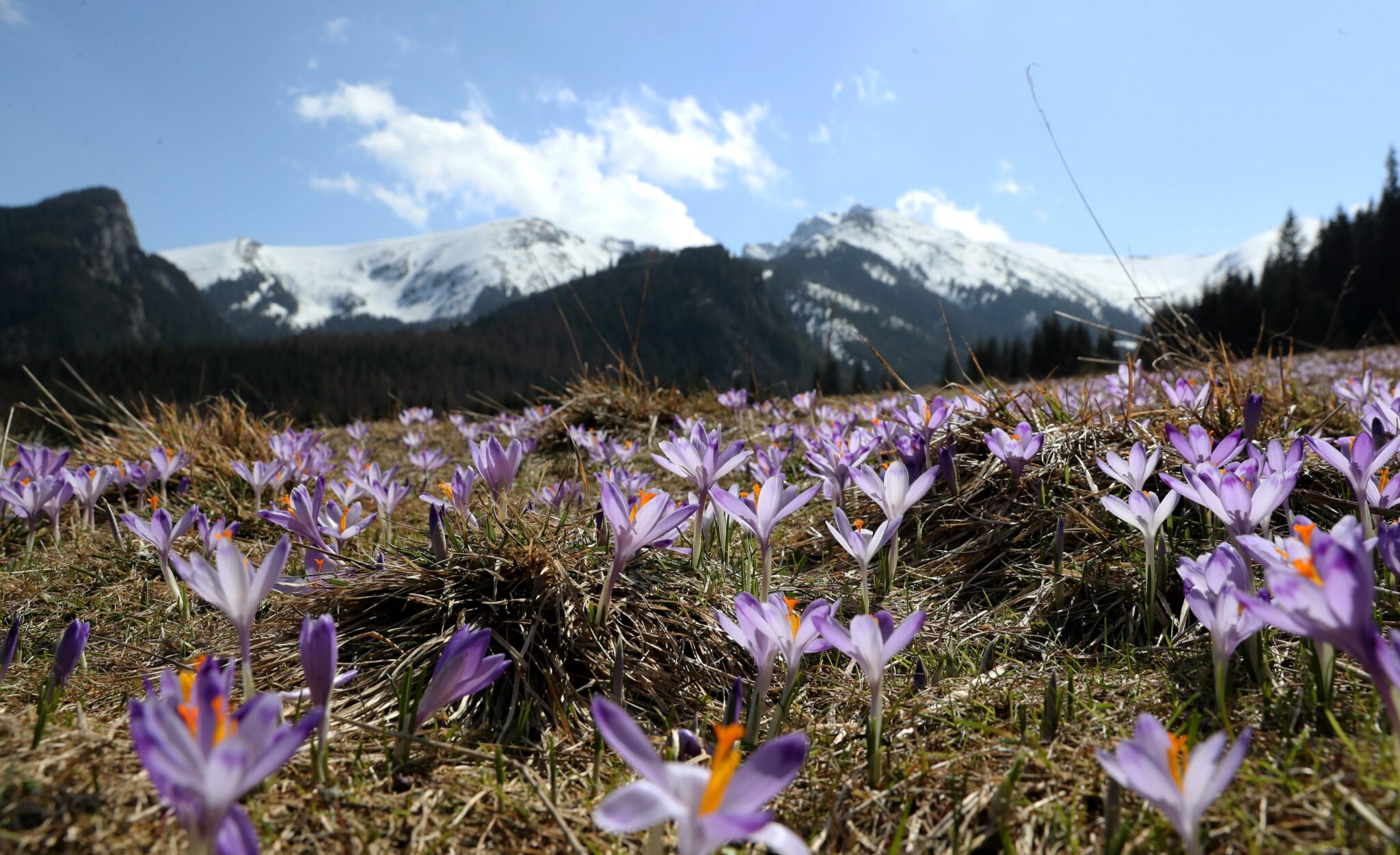 Φωτογραφίες που ξεχωρίσαμε από όλο τον κόσμο