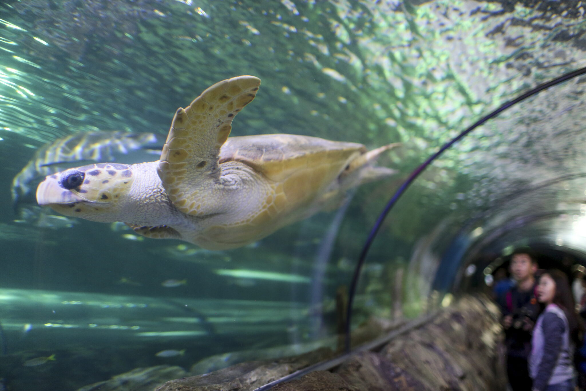 Φωτογραφίες που ξεχωρίσαμε από όλο τον κόσμο