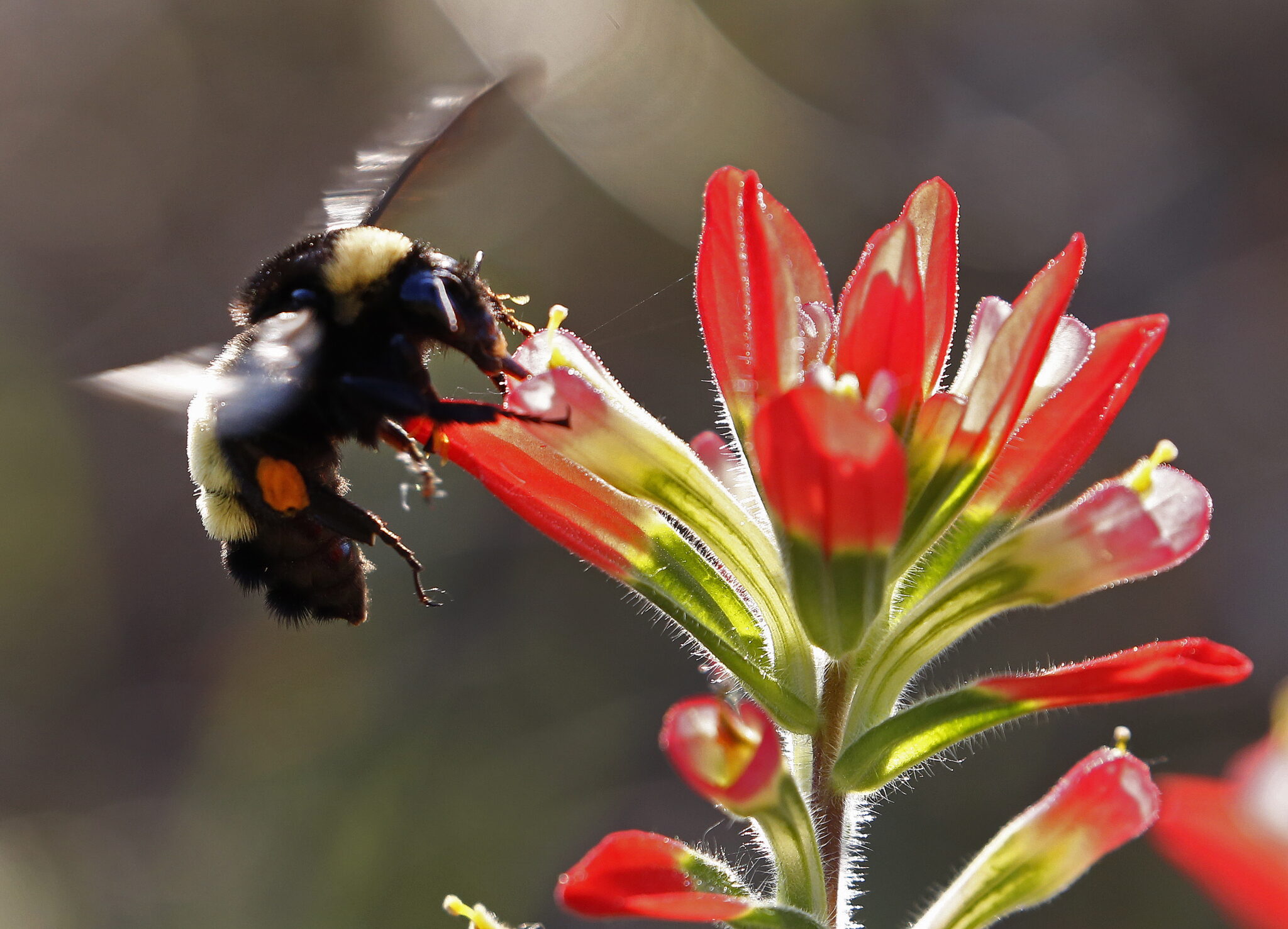 Φωτογραφίες που ξεχωρίσαμε από όλο τον κόσμο