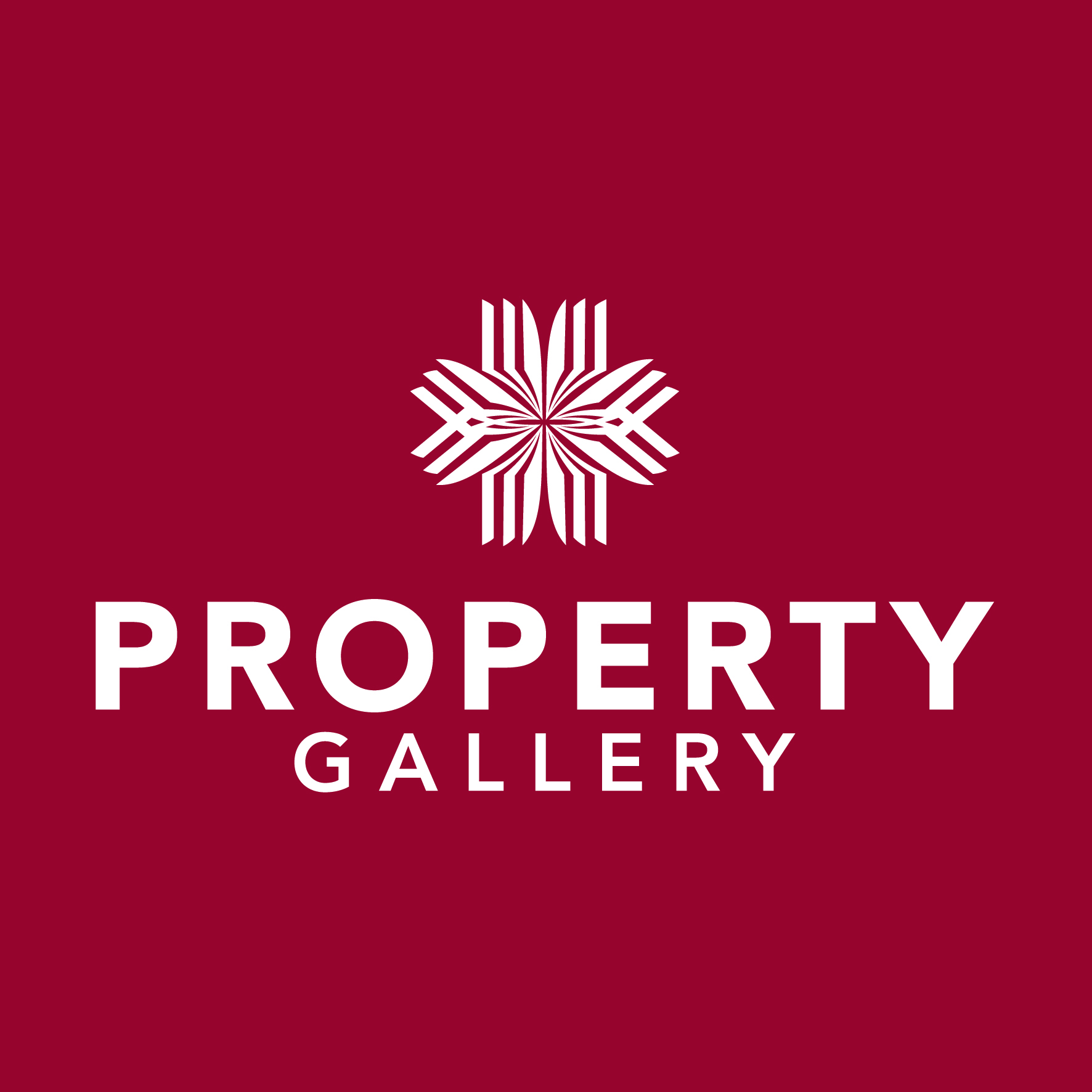Η Property Gallery Holdings Ltd ανακοινώνει συνεργασία με τη SARELS E.P.C.M. LTD
