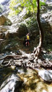 Καρέ-Καρέ ο απεγκλωβισμός Γάλλου Τουρίστα στις Πλάτρες (ΒΙΝΤΕΟ)